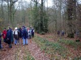 En forêt : la pause.