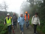 En route vers la forêt.