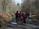 Allée de la forêt de Perseigne