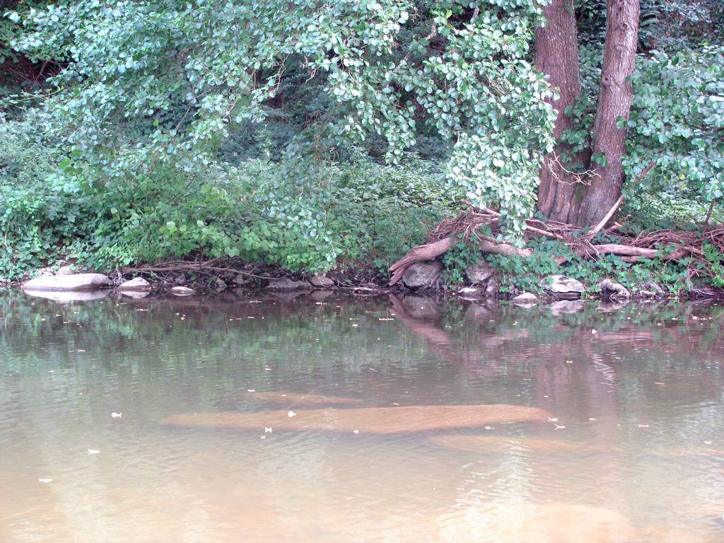 A la recherche de Saint-Léonard, le long de la Sarthe.