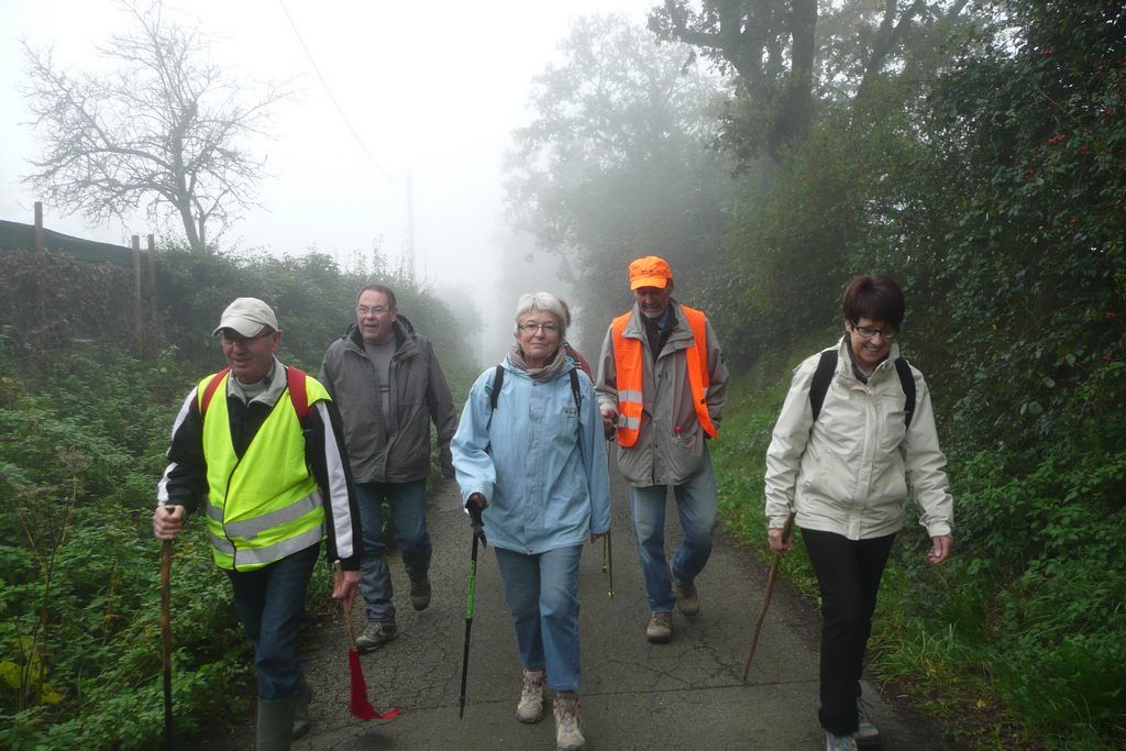 En route vers la forêt.