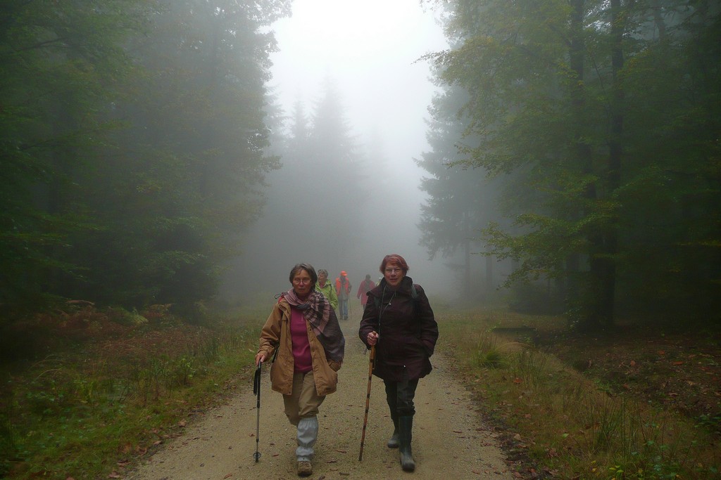 Complètement dans le brouillard !