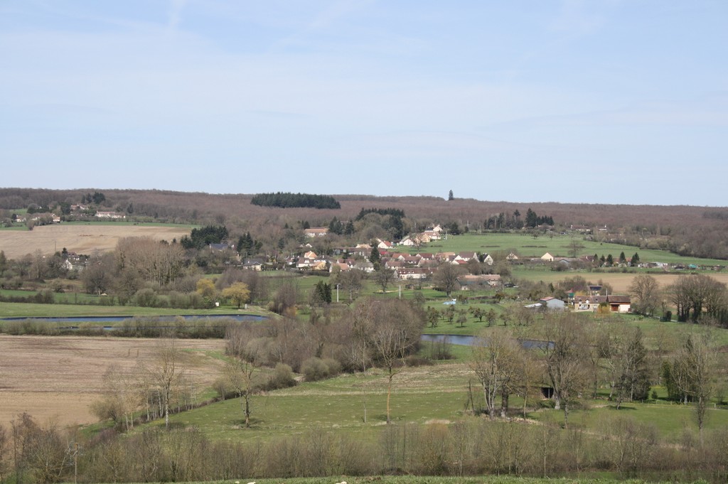 Levillage d'Ancinnes et le séquoia centenaire, au fond 